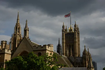 DSC_2825 (Large).JPG